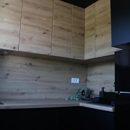 Aria Apartment Soko Banja